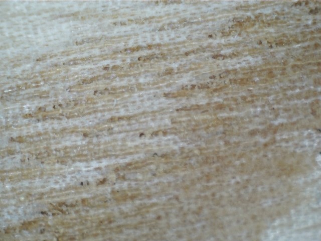 BB_E7_C1_F815ash.jpg